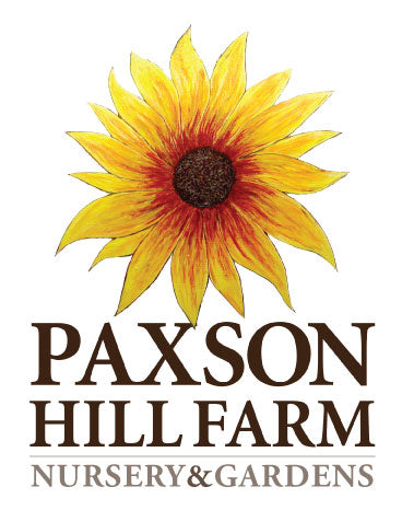 Paxson Hill Garden Design
